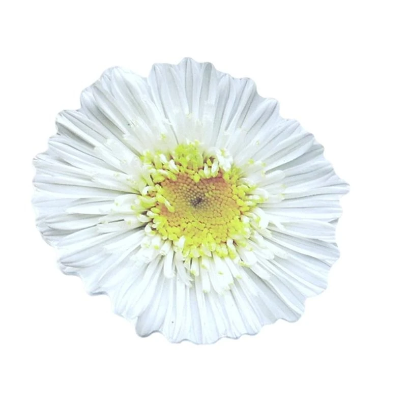 DXAB Removable Note Pad Auto-Adhesive Note Pad Flowers Pad - Image 5