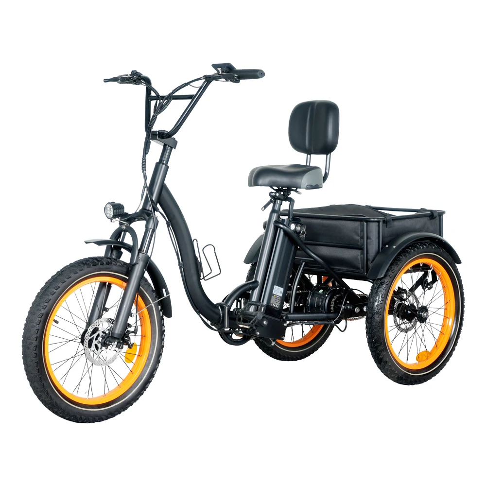 Adult Electric Cargo Bike Delivery Bike Bicycle Tricycle Fat Tire Electric City Bicycle With Central Motor