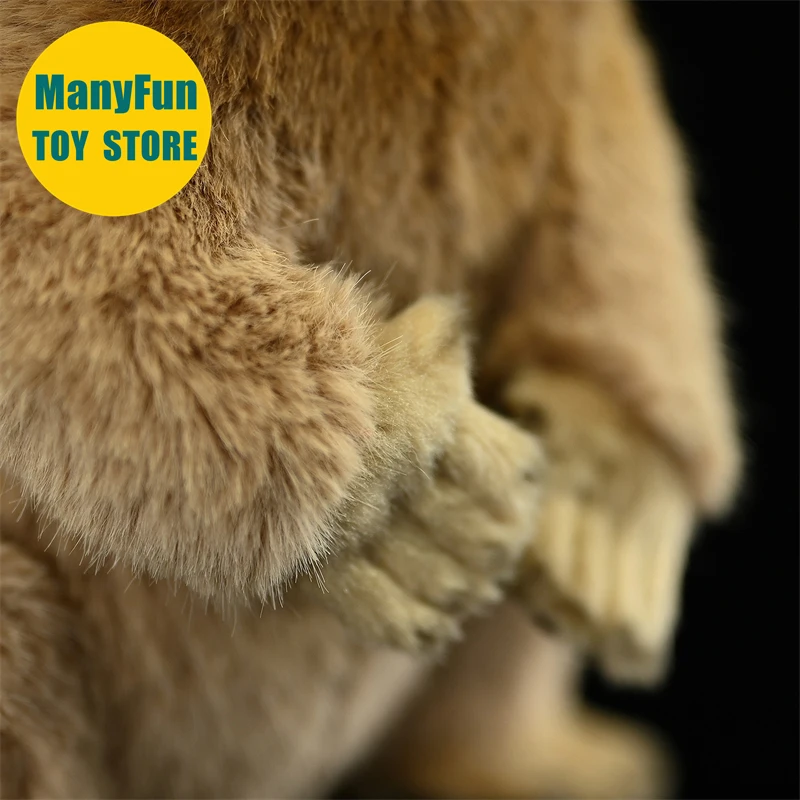 Realistic Groundhog Plush Toy High Fidelity Mountain Beaver Plushie Lifelike Marmot Stuffed Animal Simulation Doll Toy Gift