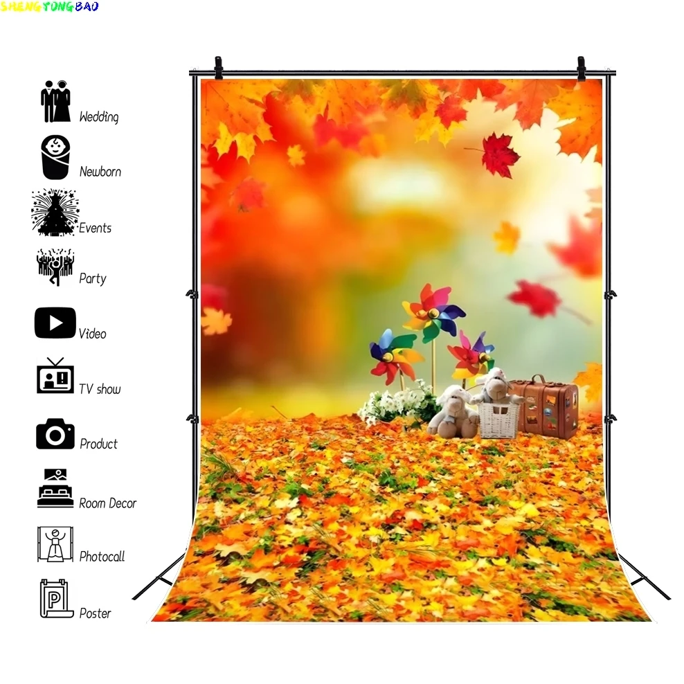 Herbst Wald Landschaft Hintergrund Herbst gefallene Blätter Baum Feld Weg Natur Landschaft Porträt Fotografie Hintergrund Foto Studio