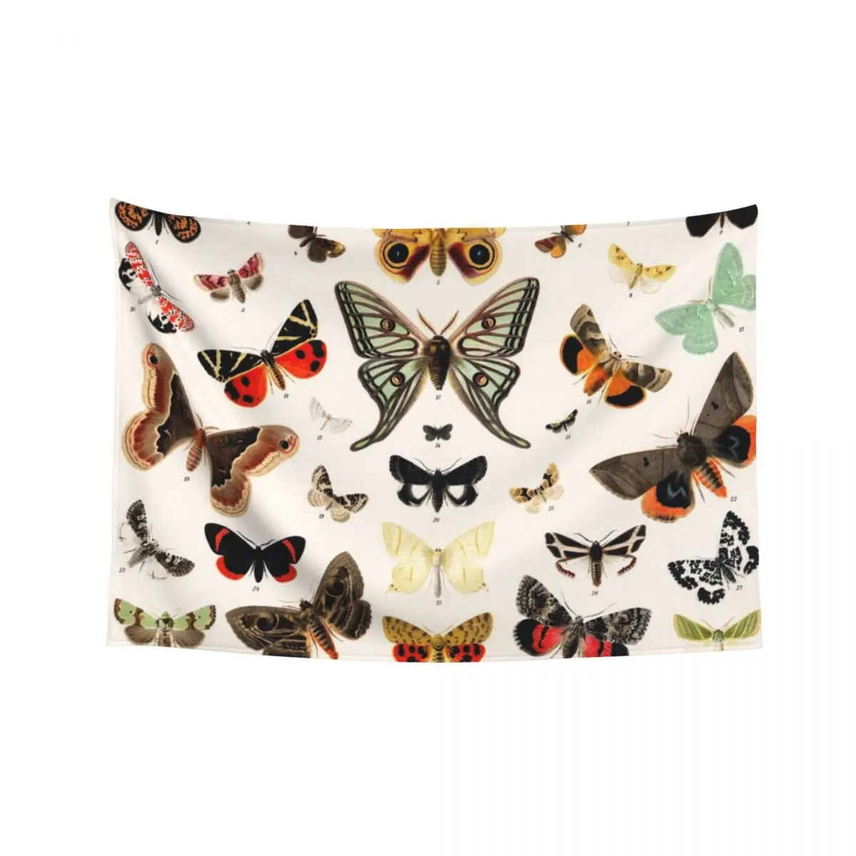 

Antique Butterfly and Moth Lithograph Tapestry Aesthetic Room Decor Korean Room Decorations Aesthetic Tapestry