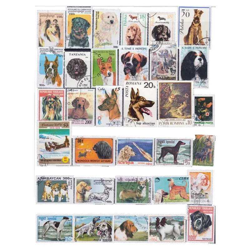 50 teile/los Hund Briefmarke mit Post Mark Briefmarken für das Sammeln keine Wiederholung zufällig