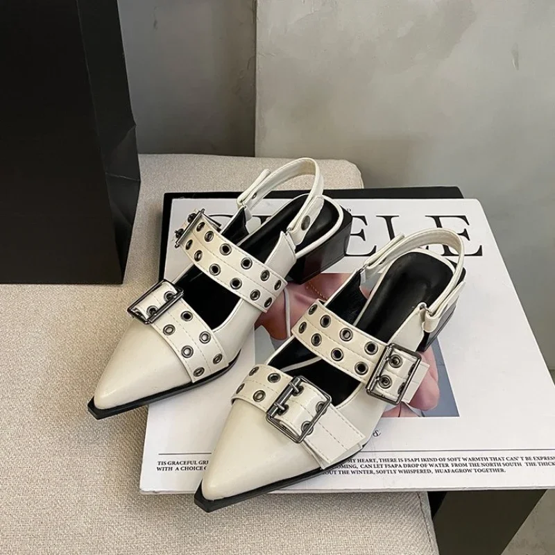 Zapatos Mary Jane de punta estrecha de estilo francés para mujer, zapatos Retro de tacón medio grueso con faldas y zapatos pequeños de cuero