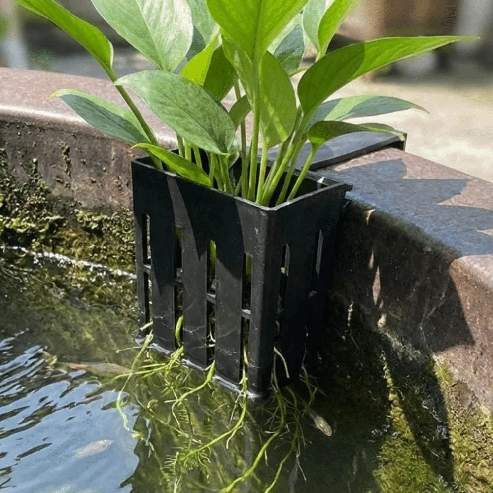 壁掛け水槽用植物バスケット 水耕栽培プランター プランターコ - Aquarium Planted Wall のレビューと価格