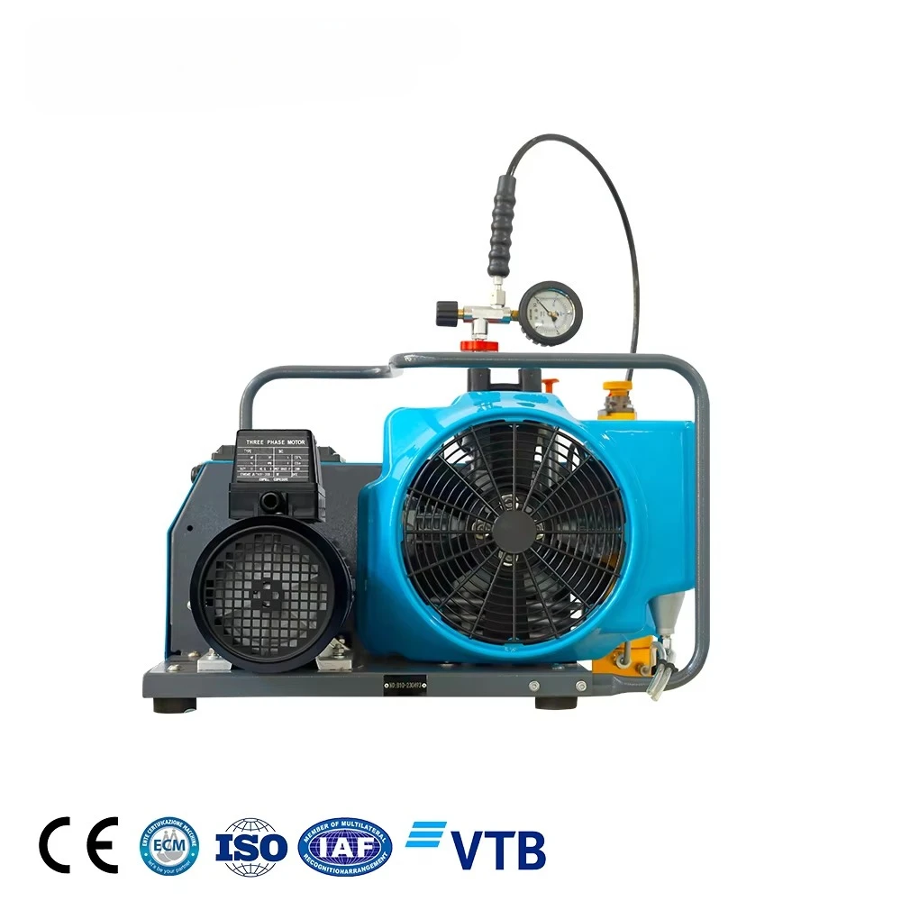2.2kW 100L/min Electrical Diving Air Compressor for Breathing Scuba Diving Air Compressor