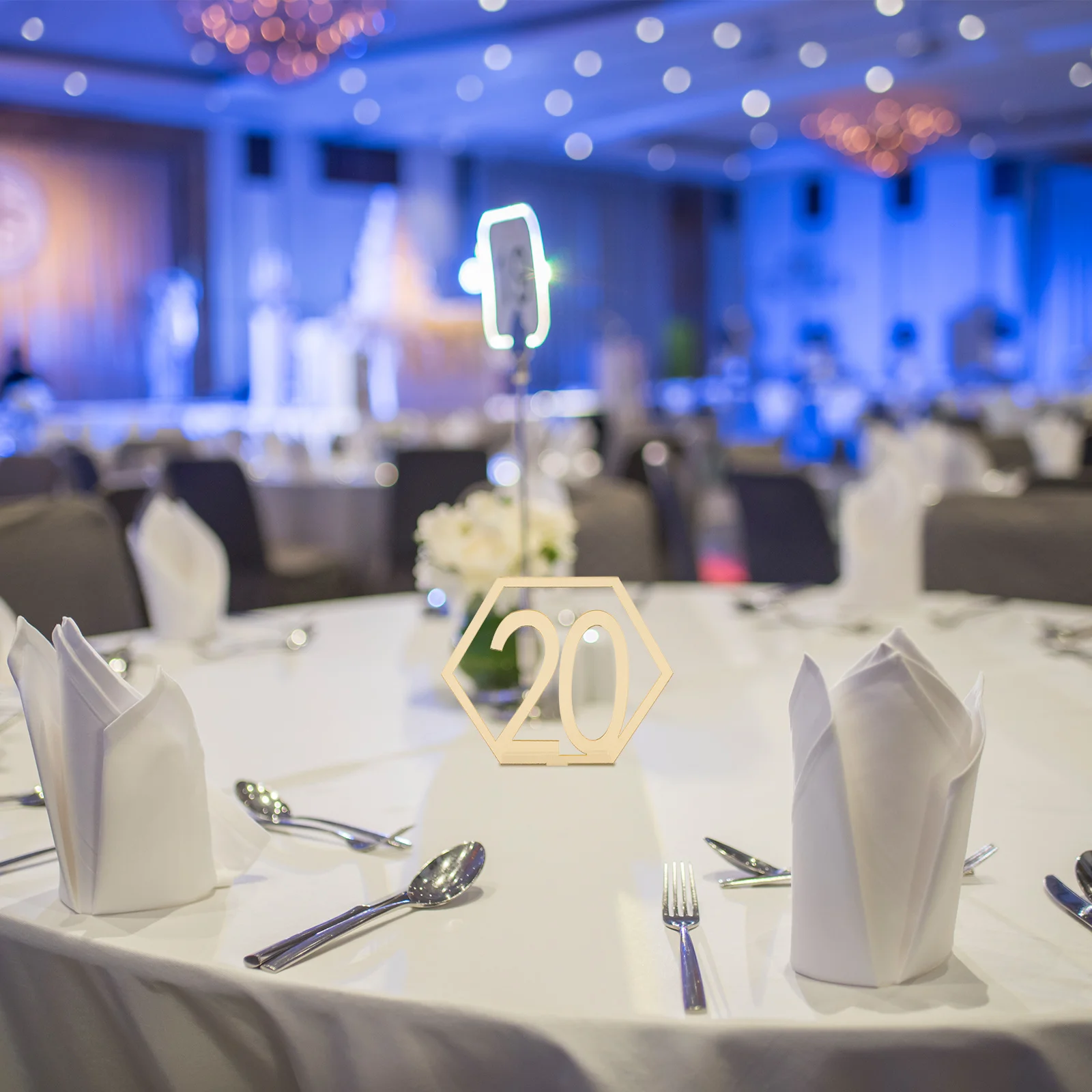 

20pcs Hexagon Acrylic 0-20 Reusable Wedding Party Decor For Banquet Birthday Reception Desktop Number Tool Table Numbers For