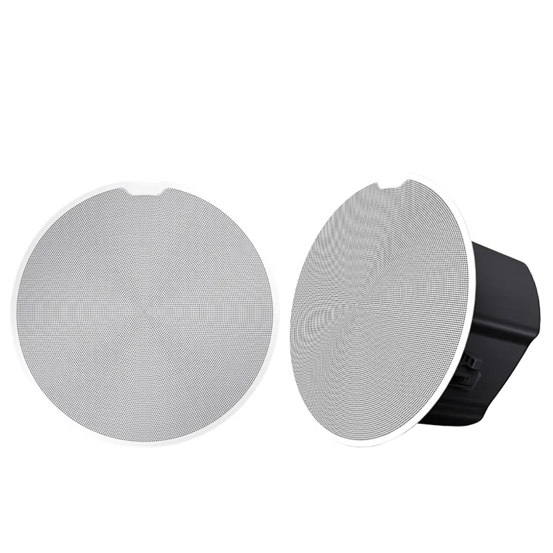 

2 Way Smart Frameless Hanging Ceiling Speaker Home Theater Sound System Ceiling Speaker