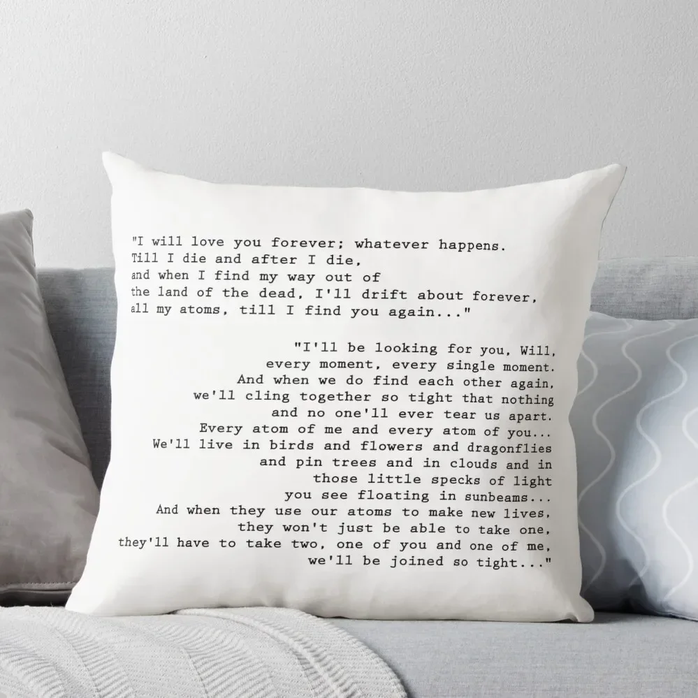 

Till I find you again - His Dark Materials Throw Pillow Couch Pillows Cushion Covers For Living Room Cushions Cover Pillow