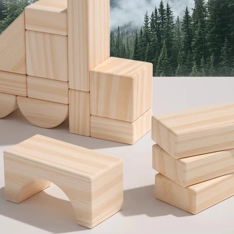 Bouwstenen van natuurlijk hout, educatief speelgoed met grote deeltjes, leren van peuters en baby's, niet-giftig beukenhout, 3-6 jaar