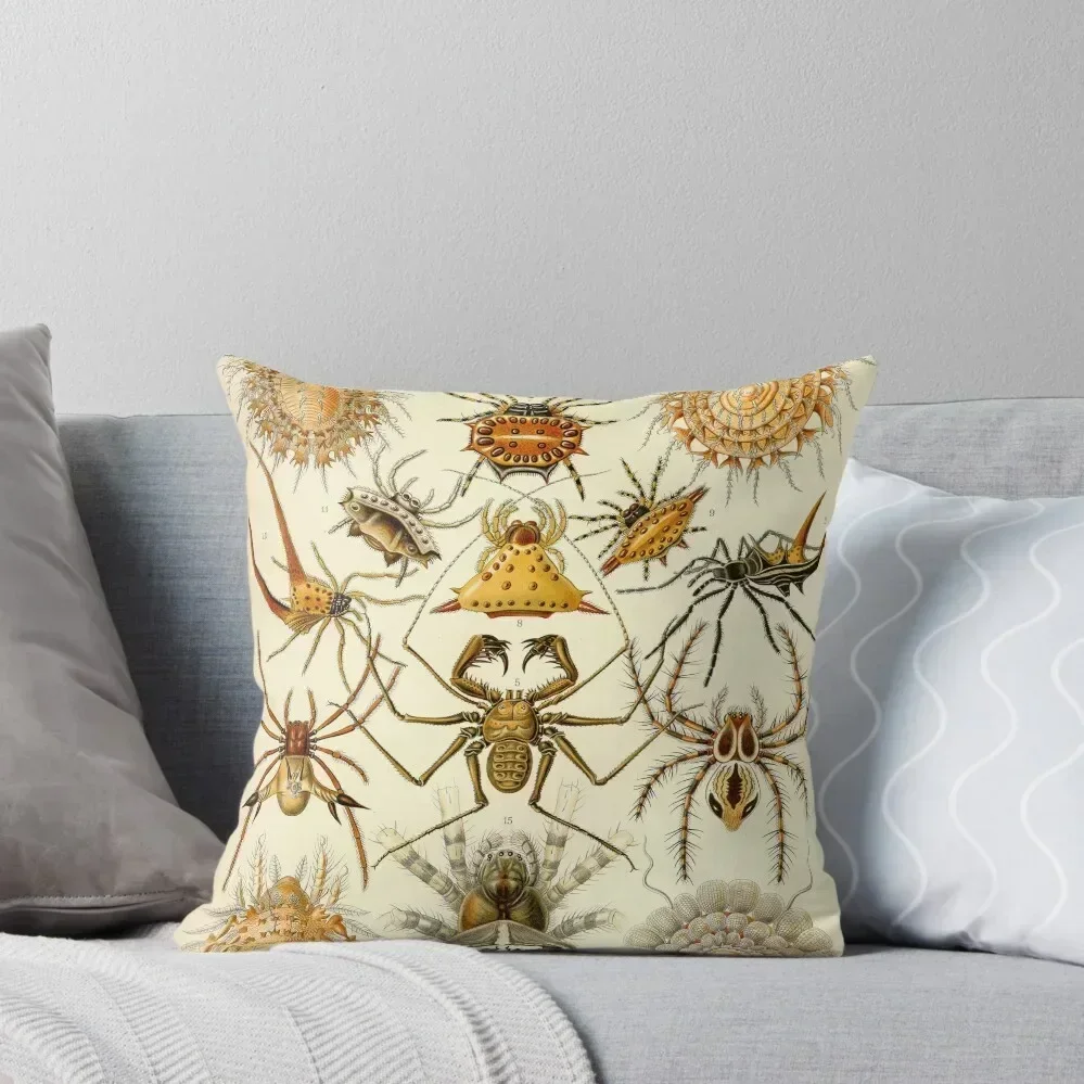 Arachnids - Ernst Haeckel Throw Throw Pillow Decorative Cushions Christmas Covers Throw Pillow Covers pillow