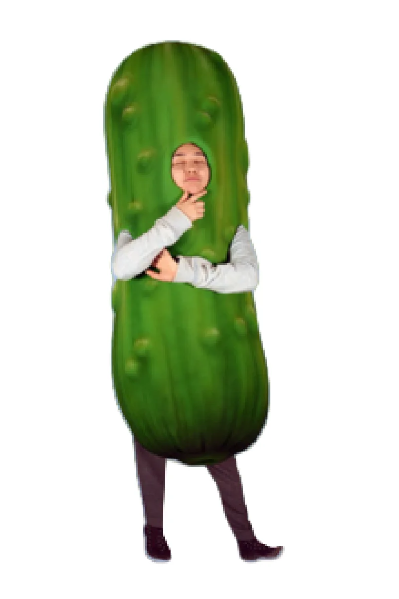 

Condiments Pickle mascot costume custom fancy costume anime cosplay kit mascotte theme fancy dress carnival costume b0561