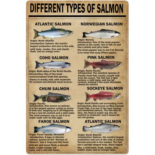 12x8Inches Retro Tin Signs Vintage Types of Salmon Metal Signs Poster Wall Decor