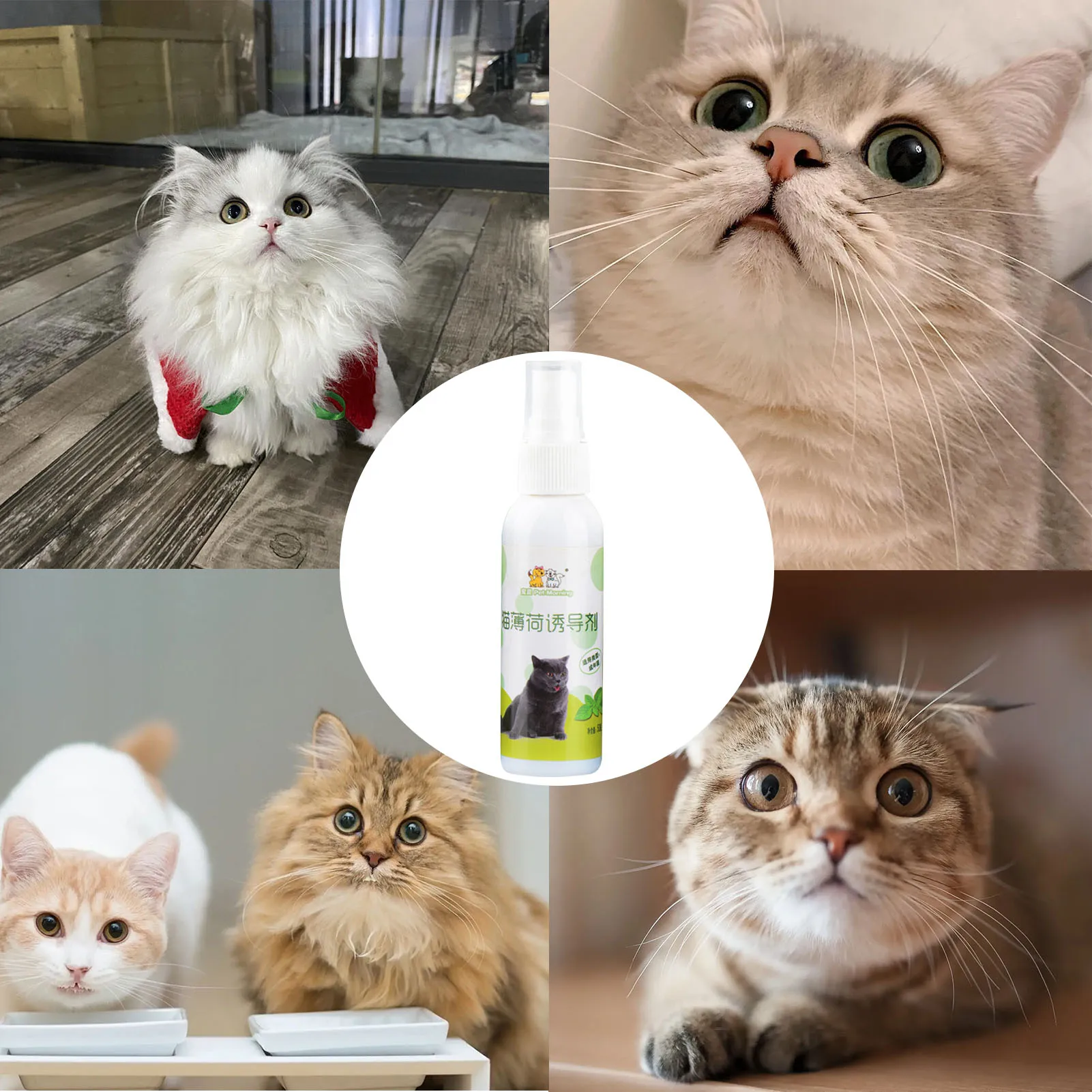 キャットニップスプレー,健康的な成分,キャットニップとキャットニップのスプレー,あなたの猫のための取り外し可能な芸術