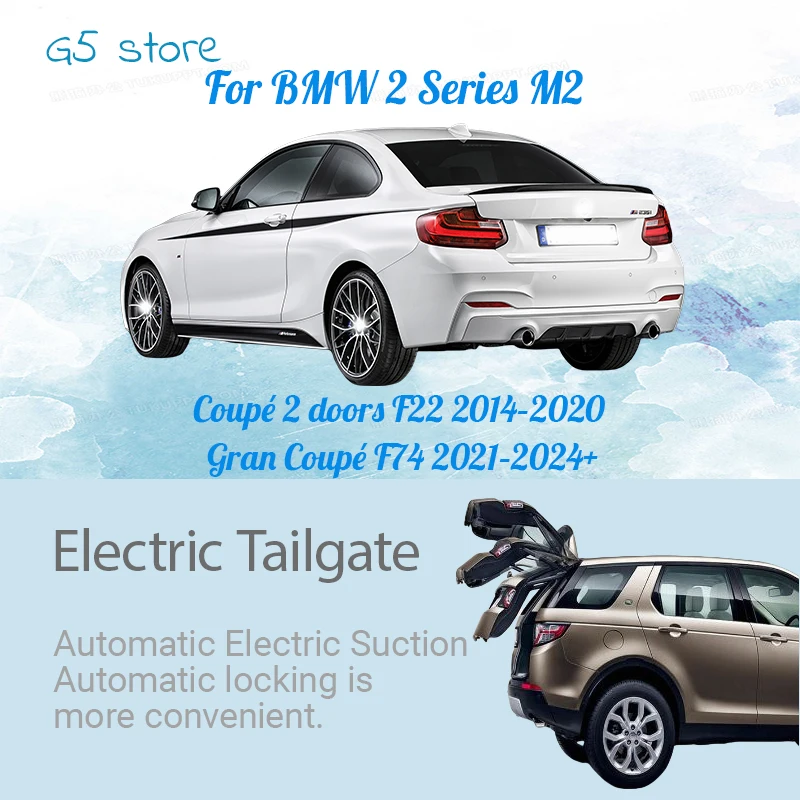 Modification Of Ant…