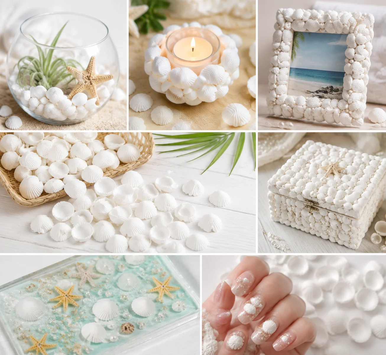 100PCS Natural White Clam Shells Mini Sea Shells 1.2-1.5cm Small Seashells for DIY Crafts Art Wedding Home Candle Decor Supplies