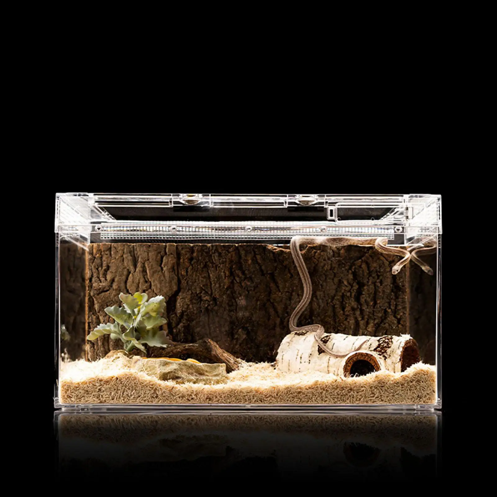 

Reptile Tank Terrarium Transparent with Top Ventilation Lid Habitat Cage Fish Tank for Frog Goldfish Snake Turtle