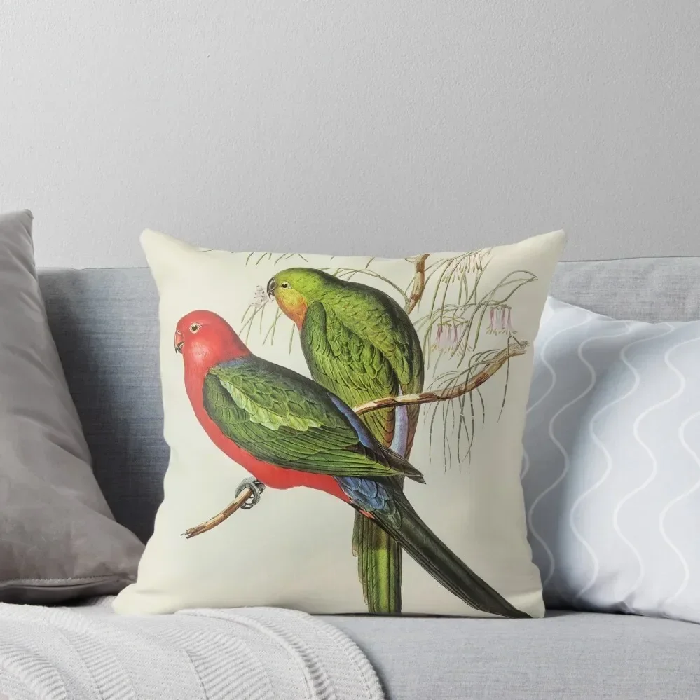 John Gould King Parrot Throw Pillow anime girl home decor items Cusions Cover pillow