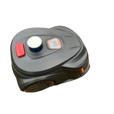 Best New Products O… - image