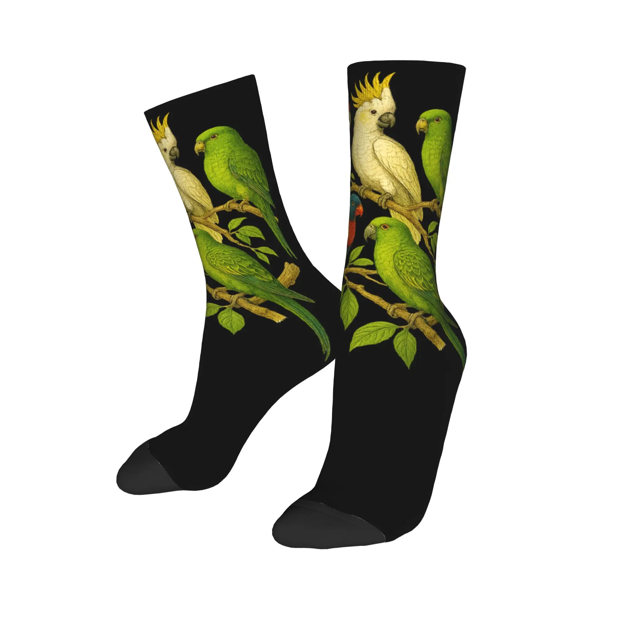 Parrots Bird Guide Different Parrot Species of The World Pet Socks Men's Women's Polyester Fashion  Socks Novelty Socks Gift