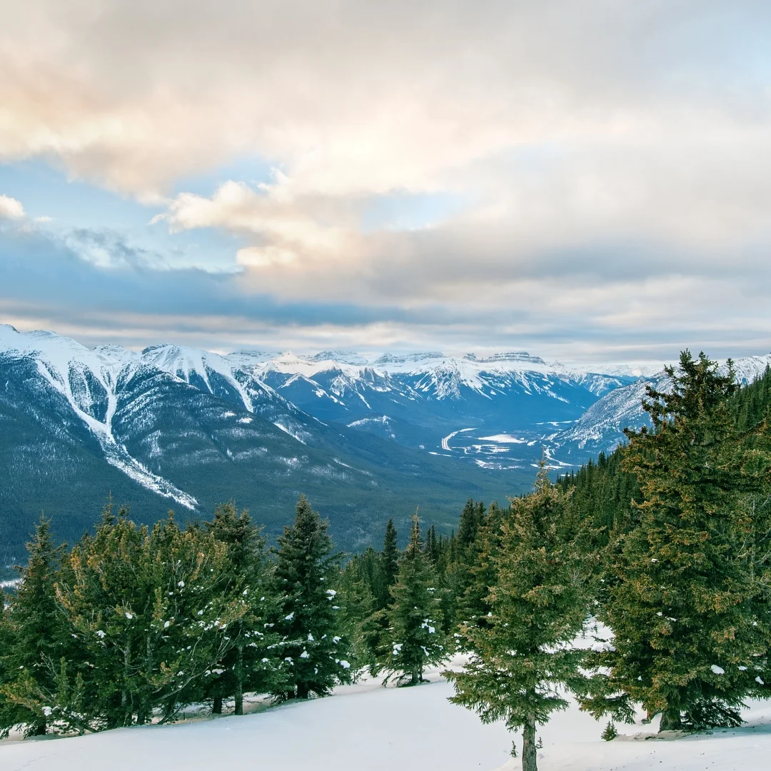 

2 Din Android 13 For Maserati GHIBLI 2013-2022 Multimedia Player Bluetooth Wireless CarPlay Auto Stereo GPS Navi Head Unit