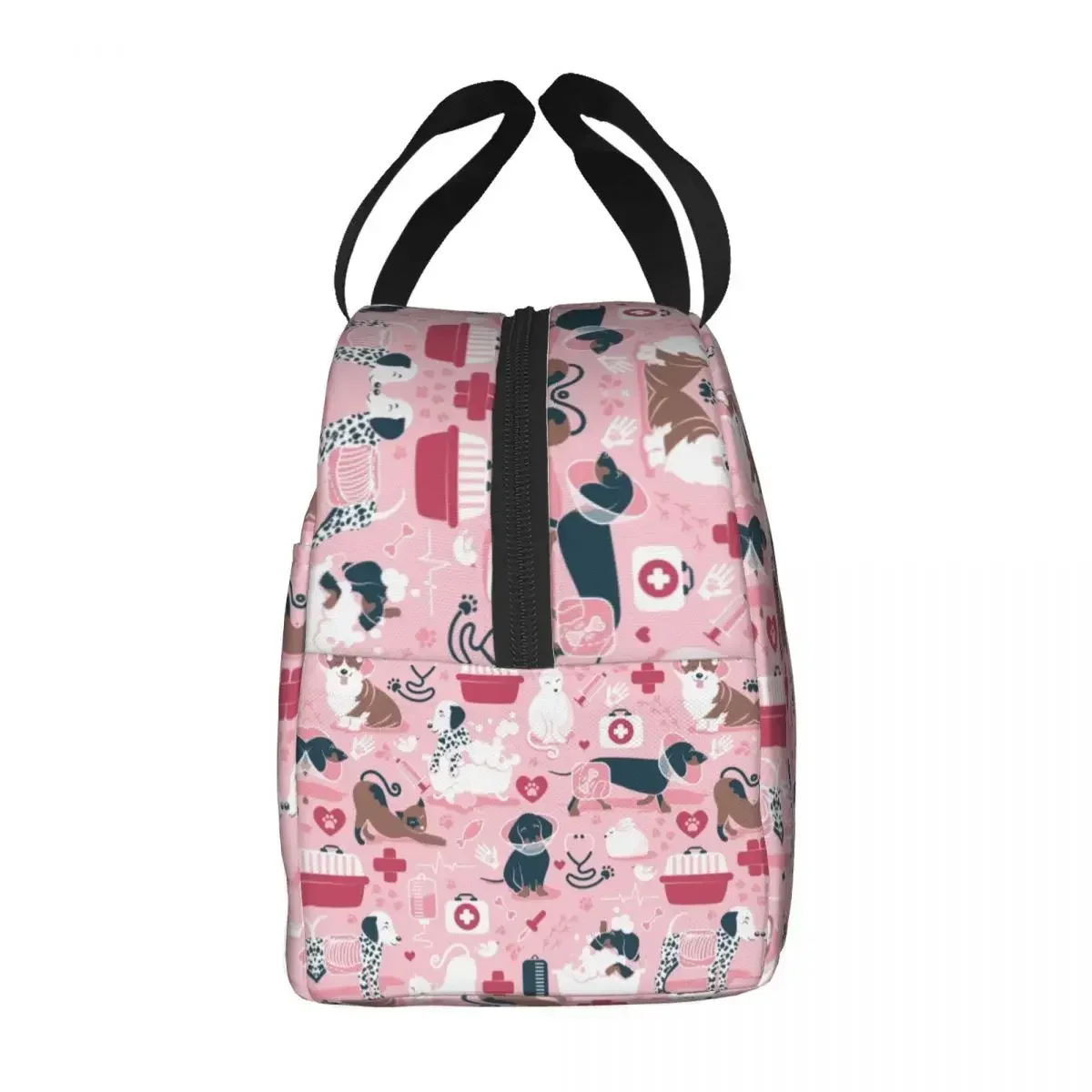 Medicine Dachshund Dogs Cats Insulated Lunch Bag for Outdoor Picnic Resuable Thermal Cooler Lunch Box Women Children