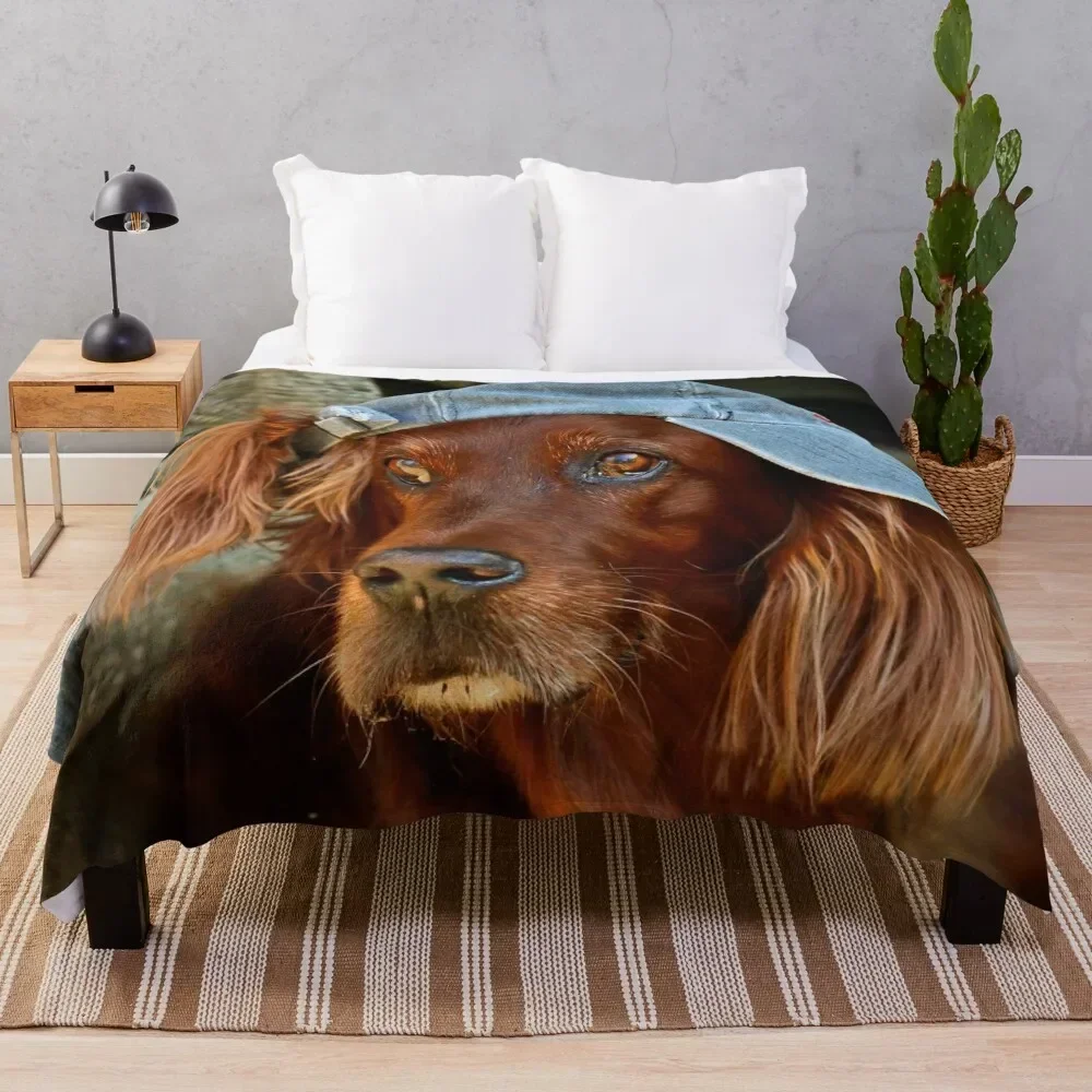 

Irish Setter ~ cheeky ~ Throw Blanket Decorative Sofas Soft funny gift Soft Big Blankets