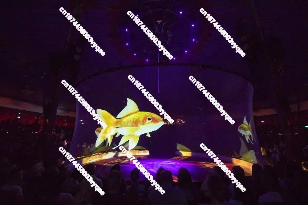 3D holographic mesh projection screen for hologram exhibition ,circus display ,Wedding