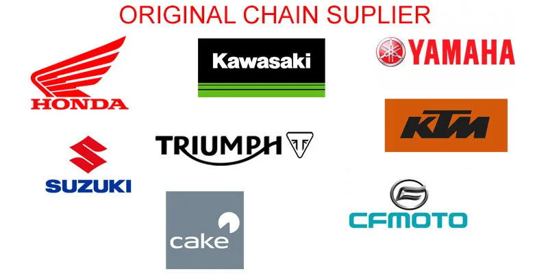 RK Motorcycle Chain O-Ring 525 ERO 120 L for Honda Yamaha Kawasaki Suzuki Ducati CF Moto KTM Triumph BMW ATV Derbi GasGas Beta