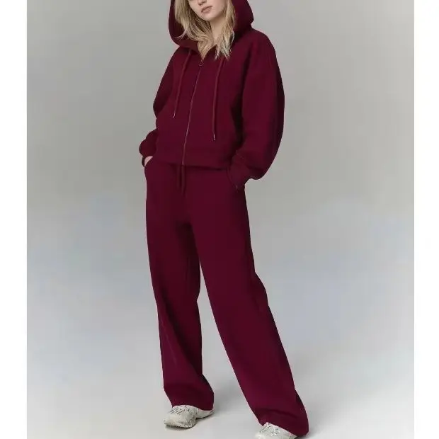 Women's Pink Blue Tracksuits Two Piece Set with Zipper Hooded Top And Classic Pants Spring Sports Suit for Ladies