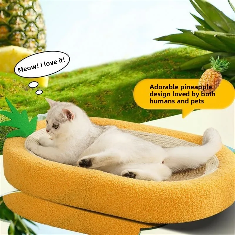 Large Size Pine Jut…