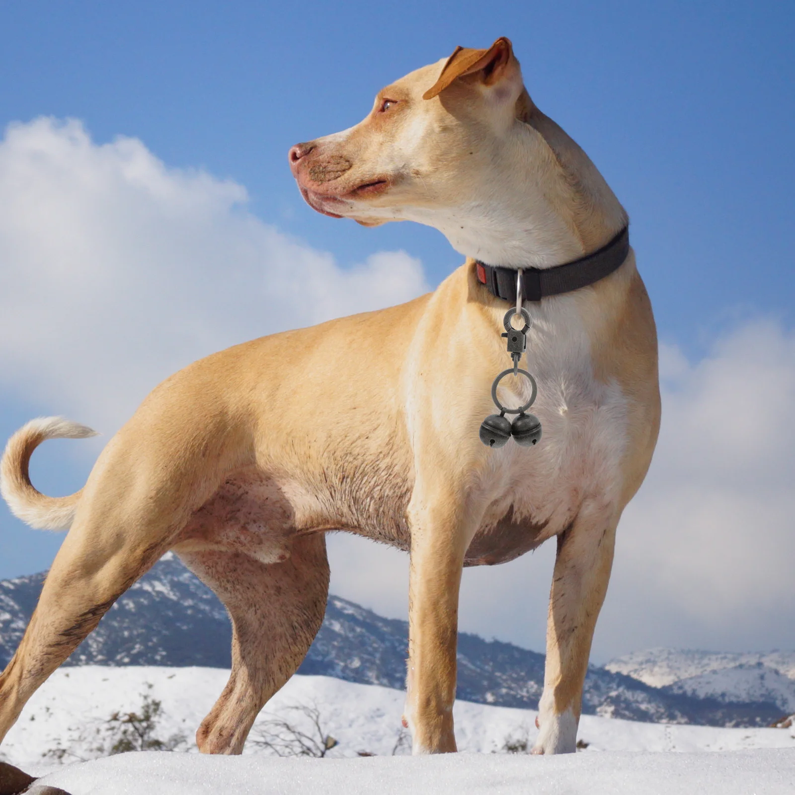 

Brass Bell Pet Collar Charm Clear Sound for Dog Cat Collar Decoration Vintage Small Bells for Pets Keychain Accessory