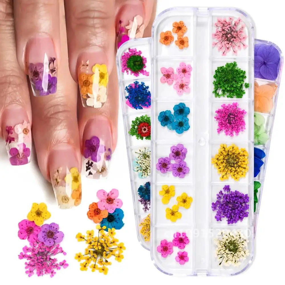 12Grids/Box 3D Dried Flowers Nail Charms Real Natural Floral Stickers DIY Nail Art Decorations Manicure Jewelry Design For Nails