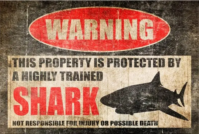 Shark Sign, Funny Shark Warning Sign for Pool Area - Available in 9x12, 12 x 18, 8-HIG016 Outside Barn Gift Farm Life Farme sign