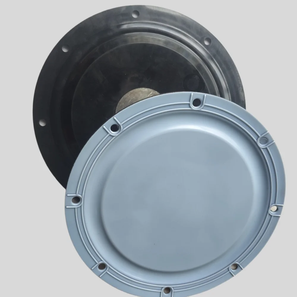 Ailipu JDM‑S3000/0.3 Composite Diaphragm Spare Parts PTFE EPDM for JDM‑S Mechanical Diaphragm Metering Pump