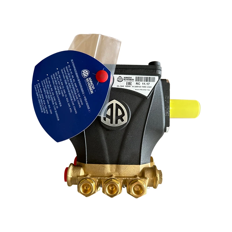 Annovi Reverberi AR RC11.17N  CODE23261 Solid Shaft Pump