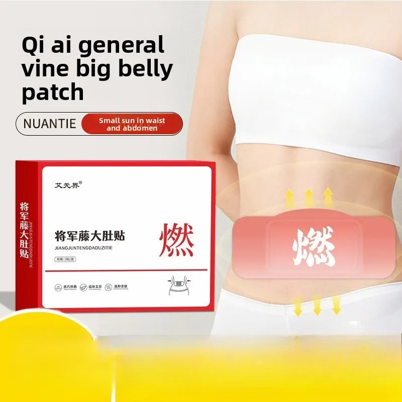 

Herbal Steam Belly Patch with Mugwort, Self-Heating Abdominal Warmth for Women, 3 Pcs Plant-Based