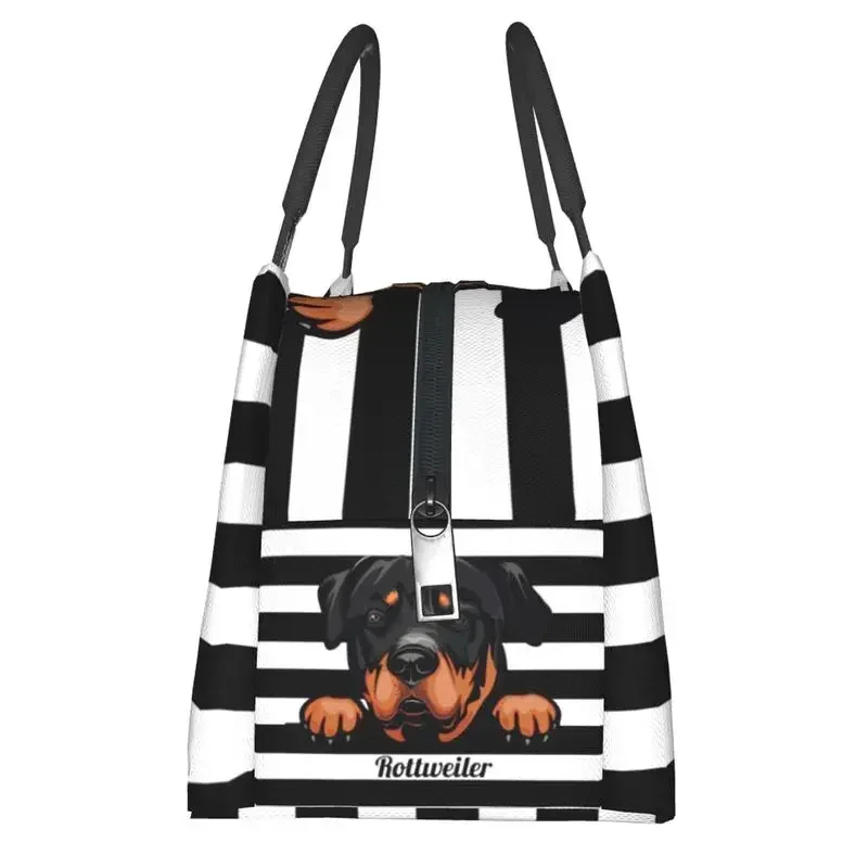 Sac à lunch personnalisé Peeking Dog Rottweiler pour hommes et femmes, glacière chaude, boîte à lunch isolée pour le bureau, sacs à lunch de voyage