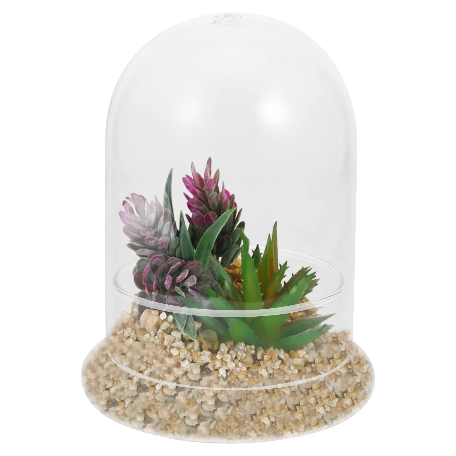 

Glass Terrarium Jar with Dome Lid Small Indoor Garden Container Moss Terrarium Kit Ecological Bottle for Plants and Flowers