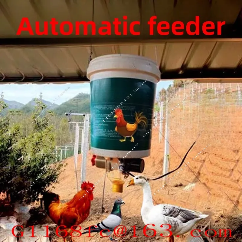 220V Automatic Chicken Feeder Funnel Pellet Pigeon Chicken Duck Pigeon Cage Intelligent Automatic Feeding Artifact