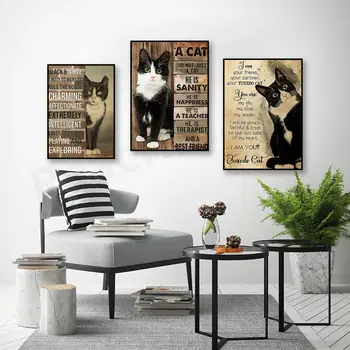 6 best sales टक्सीडो बिल्ली - №5