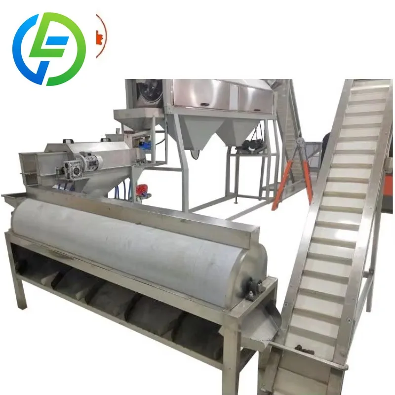 Full Automatic Packaging Machine for Raw Cashew Nut Featuring Washing Steaming Roasting in Cocoa Processing Industry