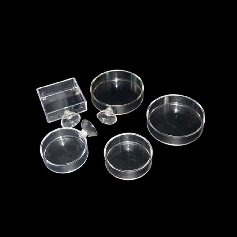 Shrimp Food Feeding Acrylic With Suction Cup High Transparent Aquarium Circle Feeder Fish Shrimp Fish Tank