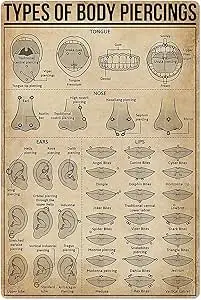 Types de piercings corporels, signe en étain, connaissance, affiche scientifique populaire, école, ferme, jardin, hôpital, Table d'information, Bar, Garage C, 1 pièce