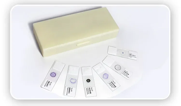 50pcs Microscope Glass Microbial Bacterial Fungi Mold Actinomycetes Specimen Slides Accesorio Telescopio Microscopio Laboratorio