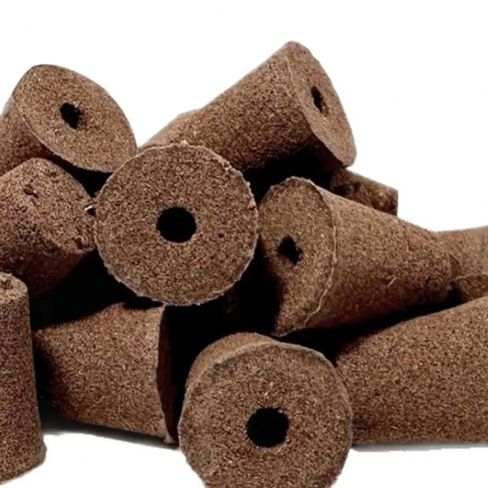 Rose Cutting Propagation Hydroponic Growing Sponges Replacement Pods Starting Cloning Kits Universal Fit Germination for Indoor