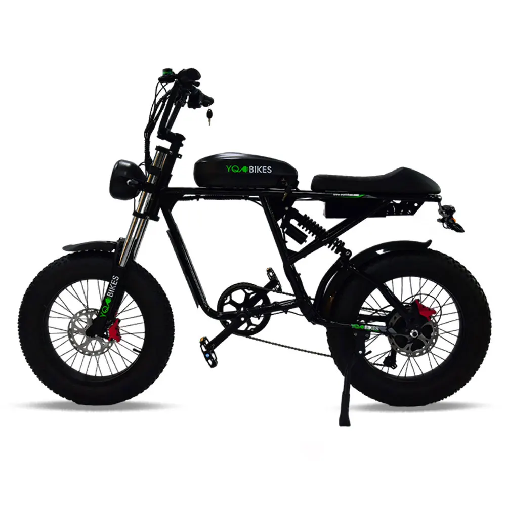 Fast Speed 35-37Mph Electric Bike 2000W Full Suspension Hydraulic Brake Electric Beach Dirt Bike MTB