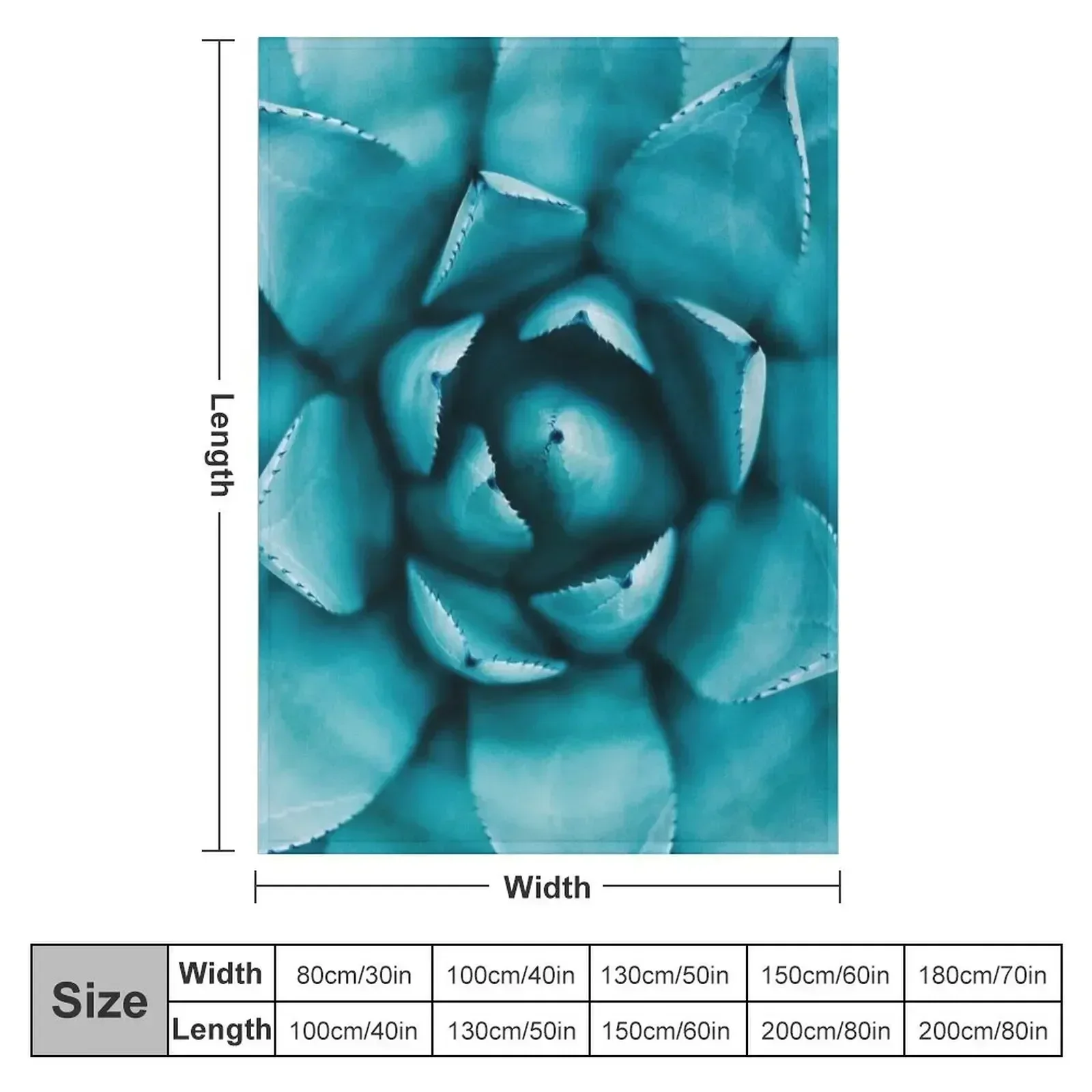 Fancy Succulents Throw Blanket Soft Plaid Bed covers Warm Luxury Flannels warm for winter Blankets