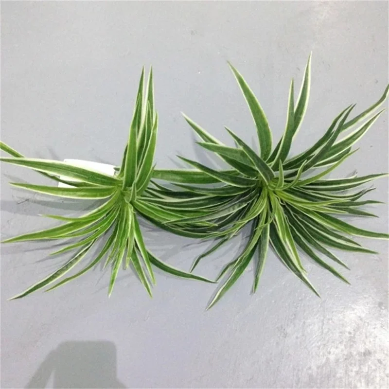 Artificial Plastic plants Chlorophytum Branch home decorative fake plants Indoor potted table decoration NO Pot