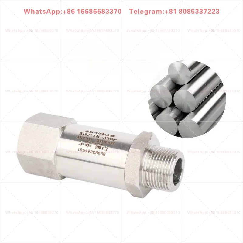Stainless Steel Female Thread Flame Arrestor High Pressure Gas Anti Flashback Device For  Pipeline Safety Parts