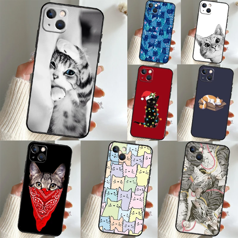 Cute Cat Kitten Cas… - image